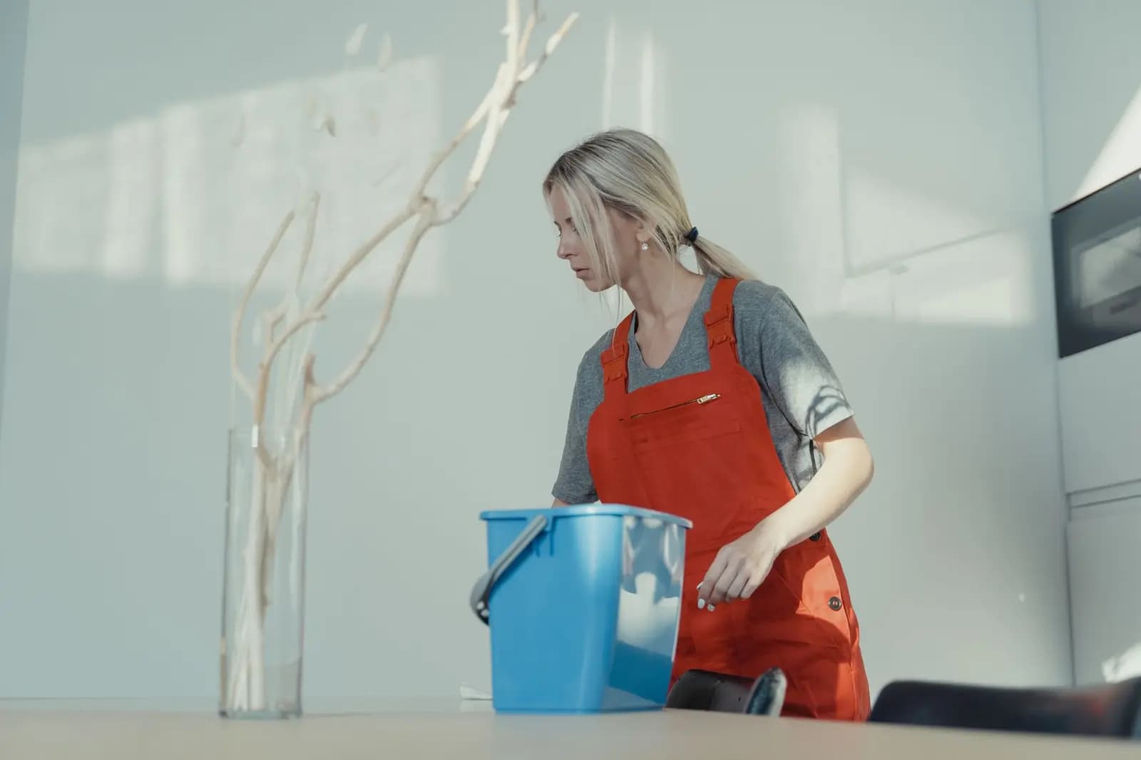 Cleaning Franchises: A Complete Buyer's Guide