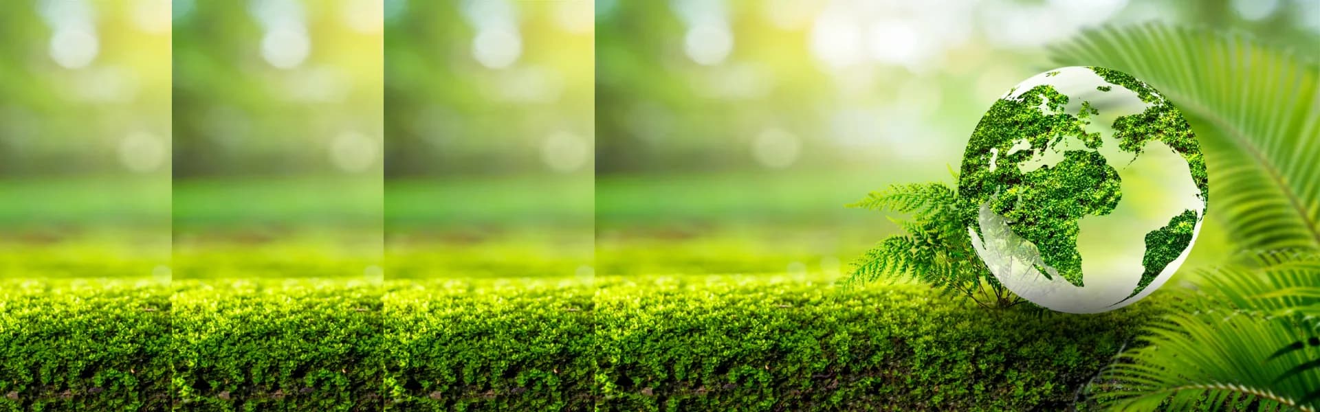 Globe covered in green foliage resting on moss beside fern leaves in sunlight, representing green and eco-friendly franchise opportunities in the UK.