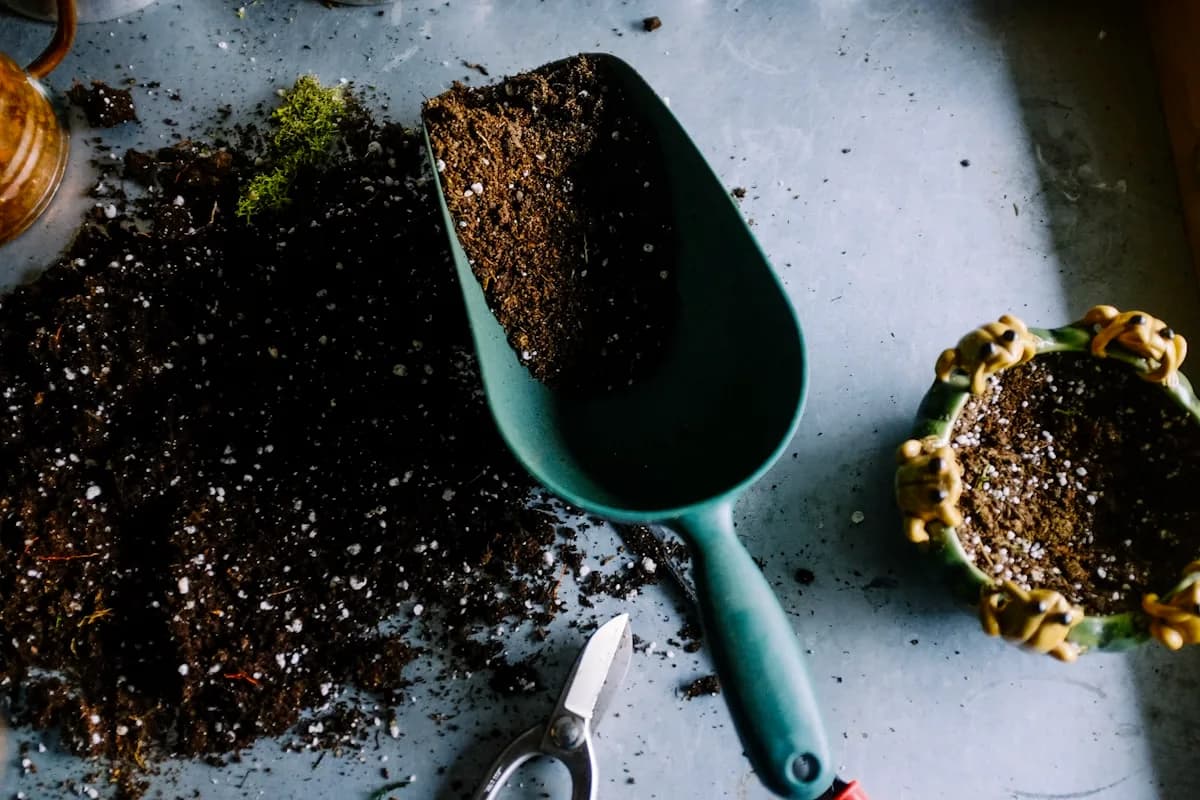 Gardening tools including pruning shears, a trowel and a hose laid on a wooden board beside lush green grass, representing gardening franchise opportunities in the UK.