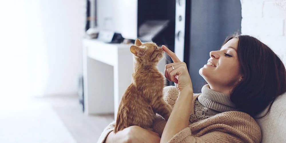 A woman relaxing on a sofa playfully booping the nose of a ginger cat with her finger - illustrating the bond between cat owners and their pets that The Cat Butler franchise is built around