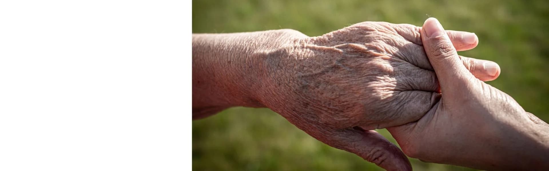 Close-up of a younger hand gently holding an elderly person's hand outdoors, representing care franchise opportunities in the UK.