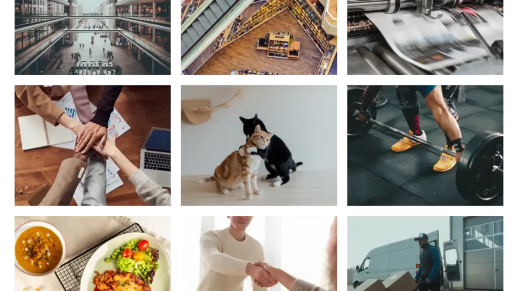 Visual collage of sectors within the franchise industry including retail, pets, food, fitness, and logistics